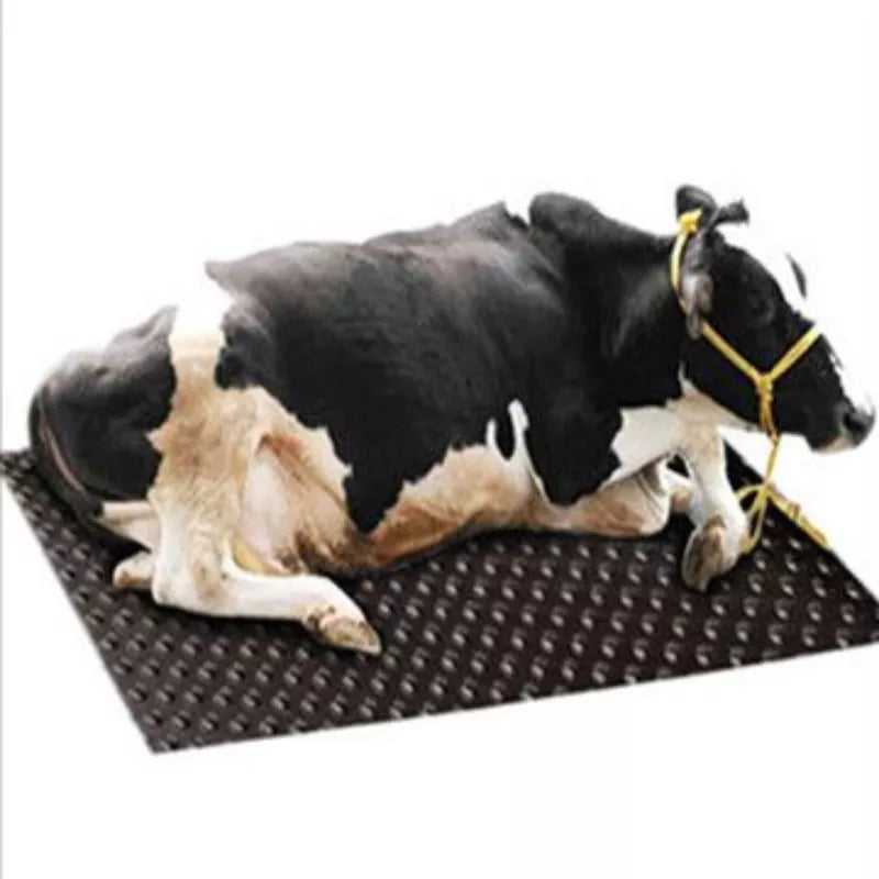 Heavy-Duty Rubber Matting for Farm Animals