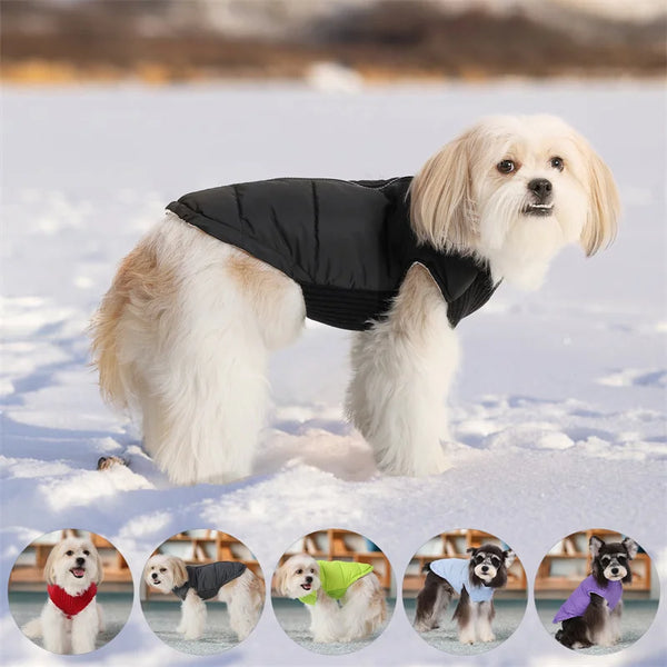 Cozy Winter Dog Jacket for Small Dogs