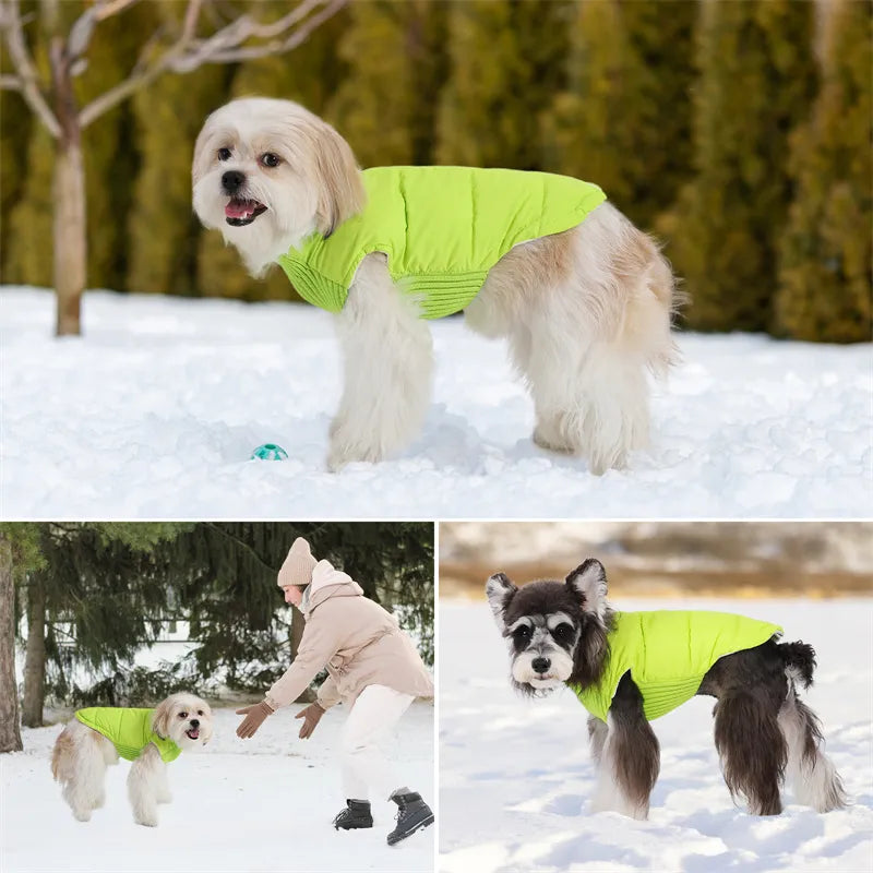 Warm Winter Dog Jacket | Waterproof Zip-Up Pet Vest