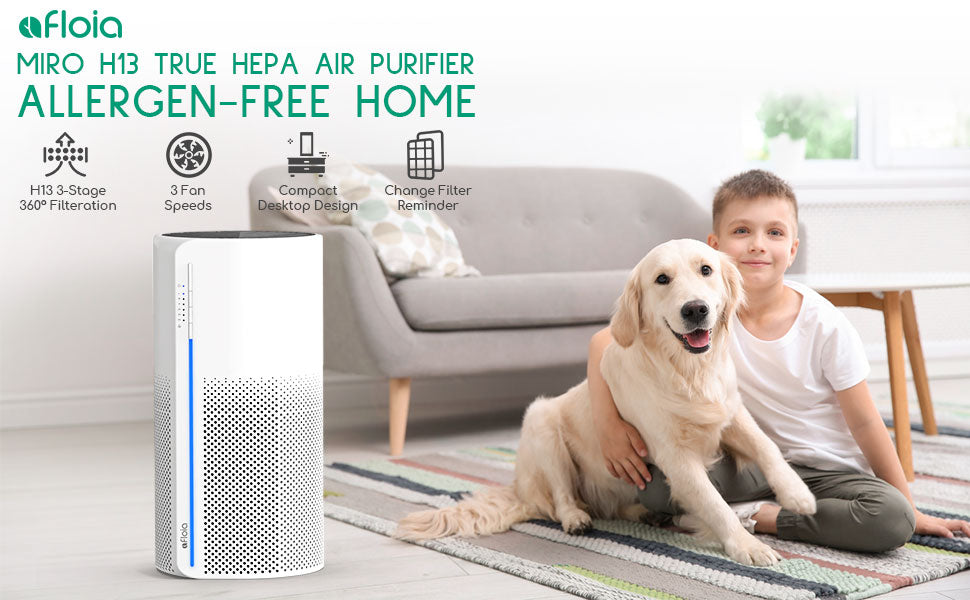 Compact Home Air Purifier | 3-Stage HEPA Filtration | Quiet Operation